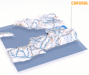 3d view of Caporal