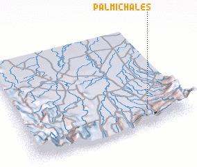 3d view of Palmichales