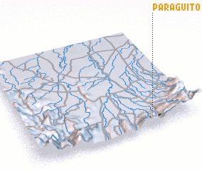 3d view of Paraguito