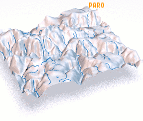 3d view of Paro