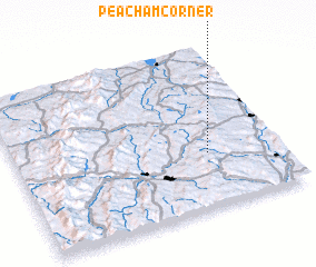 3d view of Peacham Corner