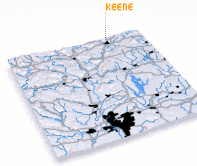 3d view of Keene