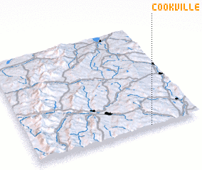 3d view of Cookville