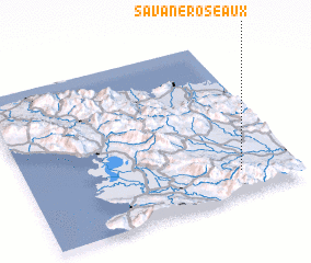 3d view of Savane Roseaux