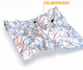 3d view of Salado Negro