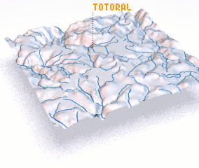 3d view of Totoral