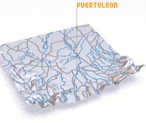 3d view of Puerto León