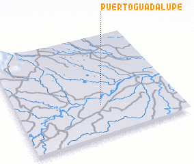 3d view of Puerto Guadalupe