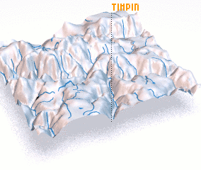 3d view of Timpin