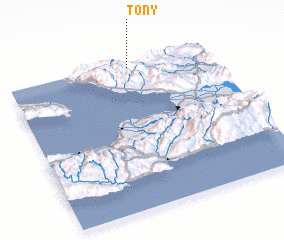 3d view of Tony