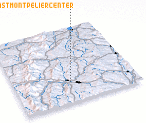 3d view of East Montpelier Center