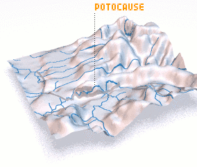 3d view of Potocause