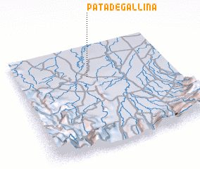 3d view of Pata de Gallina