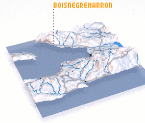 3d view of Bois Nègre Marron