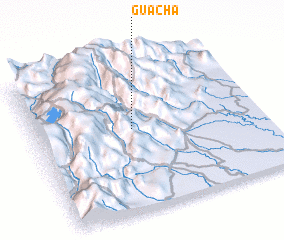 3d view of Guacha