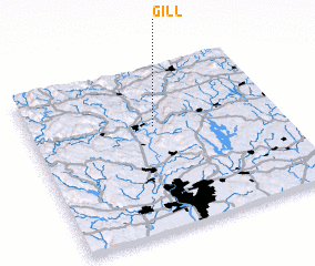 3d view of Gill