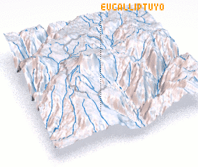 3d view of Eucalliptuyo