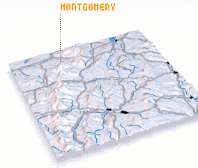 3d view of Montgomery