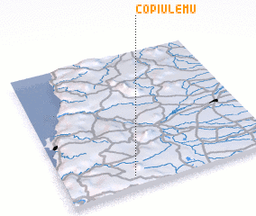 3d view of Copiulemu