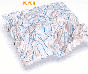 3d view of Puyca