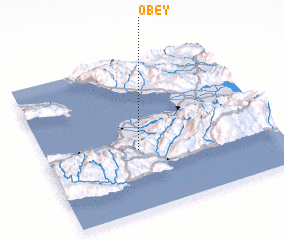 3d view of Obey