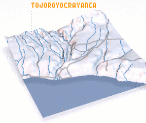 3d view of Tojoroyoc Rayanca