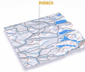 3d view of Puñaco