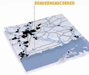 3d view of Beaver Head Corner