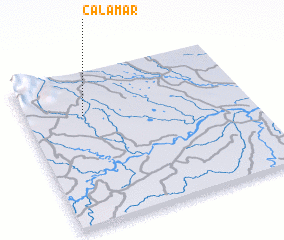 3d view of Calamar