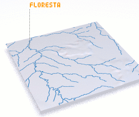 3d view of Floresta