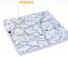 3d view of The Woods