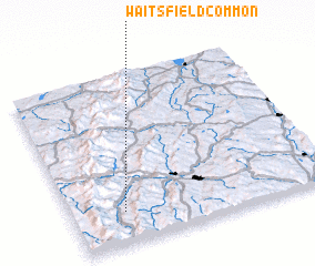 3d view of Waitsfield Common