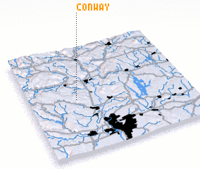 3d view of Conway