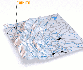 3d view of Caimito