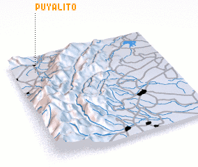 3d view of Puyalito