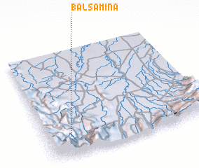 3d view of Balsamina