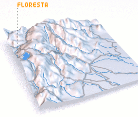 3d view of Floresta