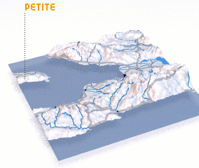 3d view of Petite