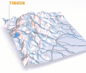 3d view of Tobasía