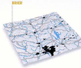 3d view of Brier