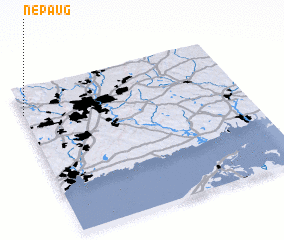 3d view of Nepaug