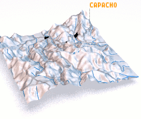 3d view of Capacho