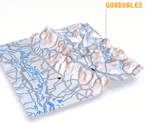 3d view of Guaduales