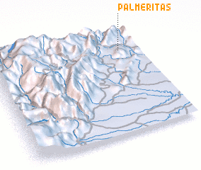 3d view of Palmeritas