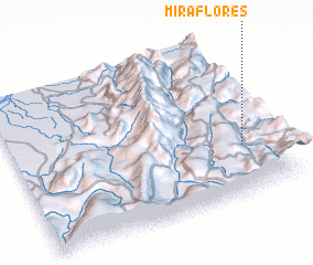 3d view of Miraflores