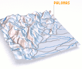 3d view of Palomas