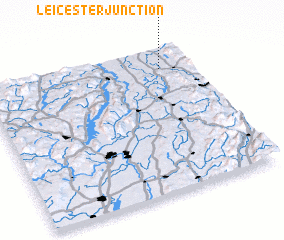 3d view of Leicester Junction