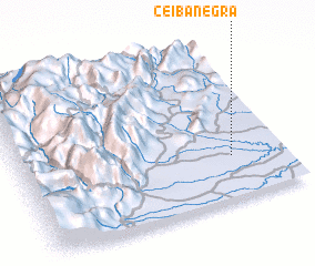 3d view of Ceiba Negra