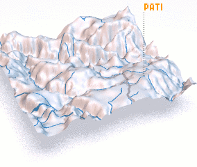 3d view of Pati