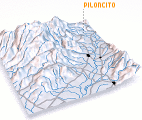 3d view of Piloncito